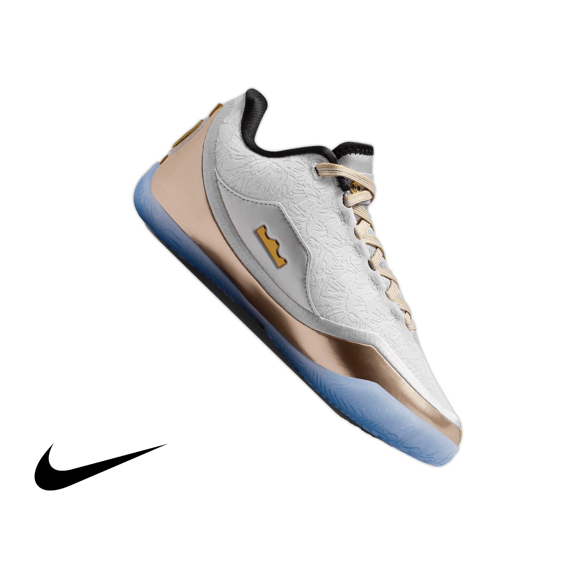 Nike LeBron XXIII "Dusty Cactus" Grade School Kids' Basketball Shoe - SILVER/CACTUS/BLACK/MULTICOLOR